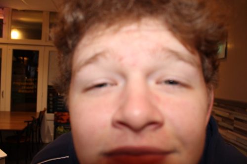 IMG 1526